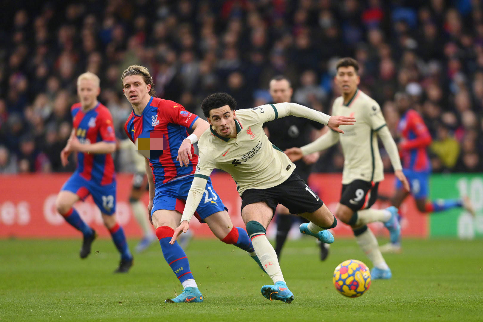 这些数据的 这些数据的