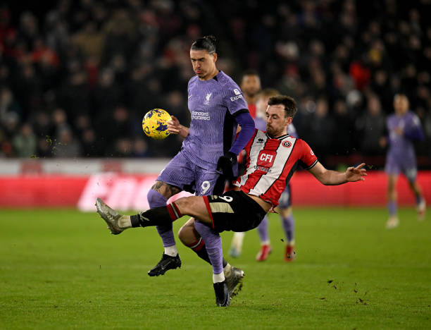 这项数据不 这项数据不